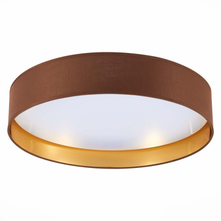 Накладной светильник Evoluce SLE300592-01