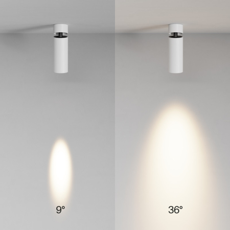 Спот Maytoni Technical C055CL-L12W3K-SS-W