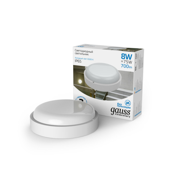 Пылевлагозащищенный светильник Gauss 126411308