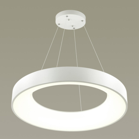 Подвесной светильник Odeon Light 4066/50L