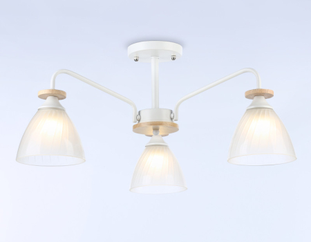 Накладной светильник Ambrella Light TR9562