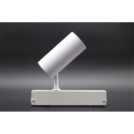 Светильник на шине APLOYT APL.0205.10.20