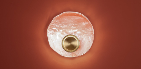 Бра Freya FR6182WL-L5BS