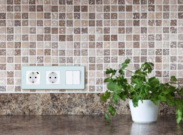 Розетка 1-м СП Inspiria 16А IP20 250В 2P+E немецк. стандарт с заряд. устройством USB тип C 1.5А 5В механизм бел. IEK 673770