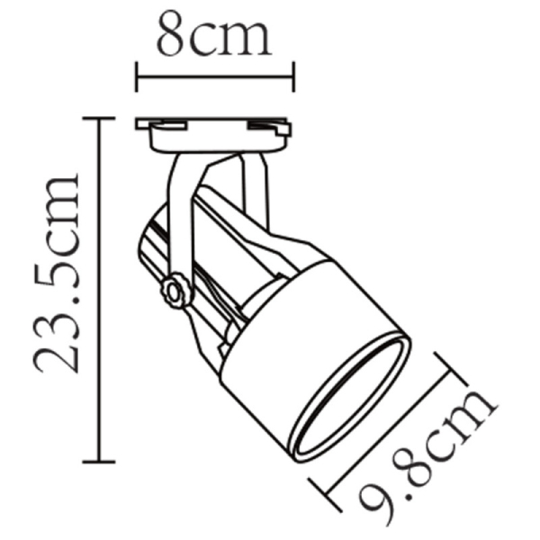 Светильник на шине ARTE Lamp A6252PL-1BK