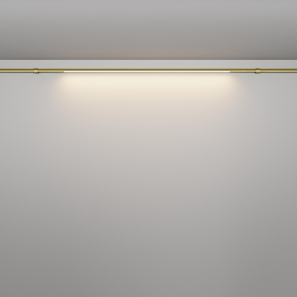 Светильник на шине Maytoni Technical C100CL-L1000-24W3-6K-BS