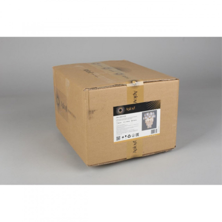 Бра APLOYT APL.832.11.02