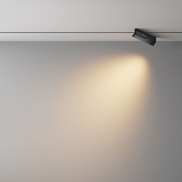 Светильник на шине Maytoni Technical TR242-2-12W3K-B