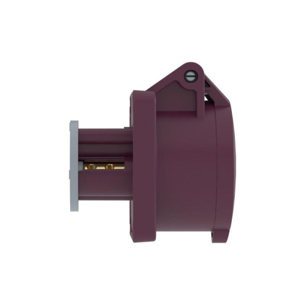 Розетка панельная PSS IP44 16А 2P 25В DKC PSS024-016-02
