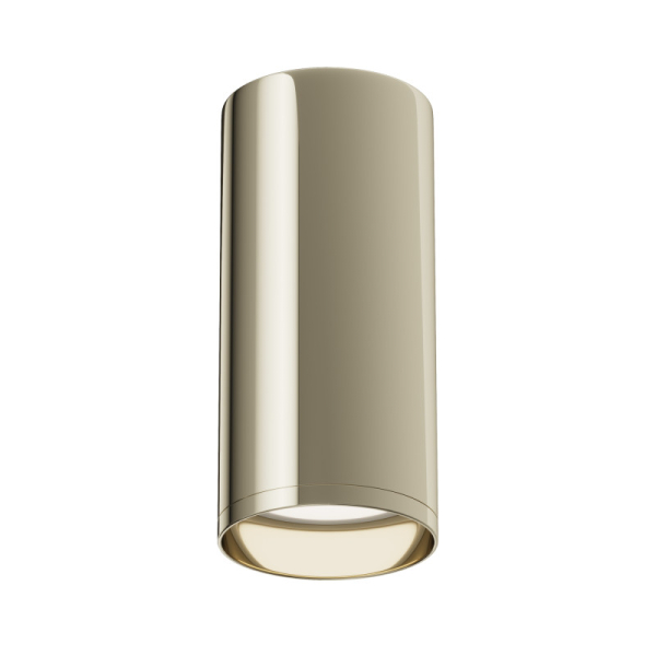 Накладной светильник Maytoni Technical C010CL-01G