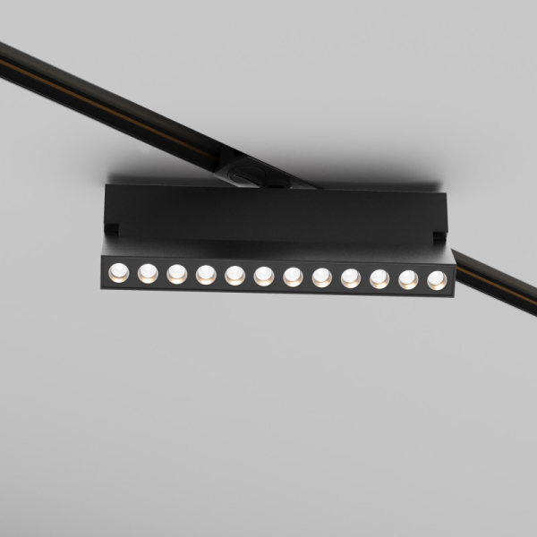 Светильник на шине Maytoni Technical TR224-1-12WCCT-M-B