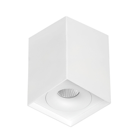 Накладной светильник LeDron MJ1021GW