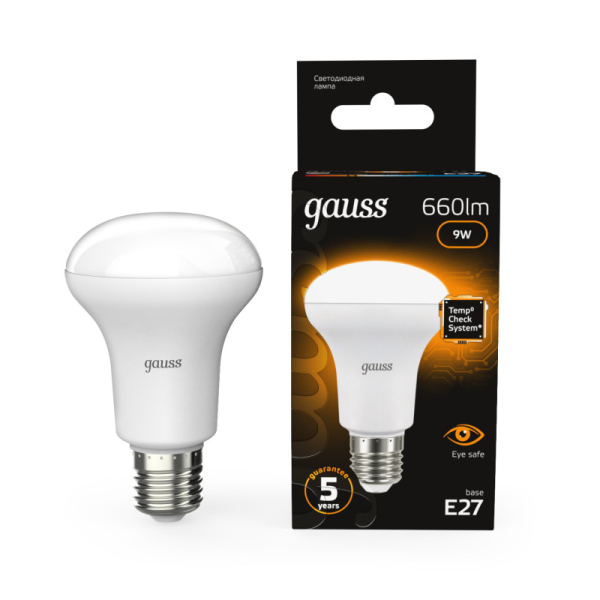 Светодиодная лампа Gauss 106002109