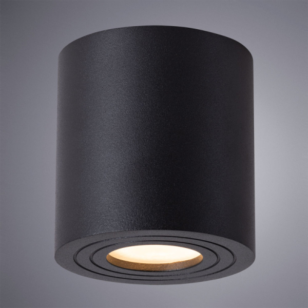 Влагозащищенный светильник ARTE Lamp A1460PL-1BK