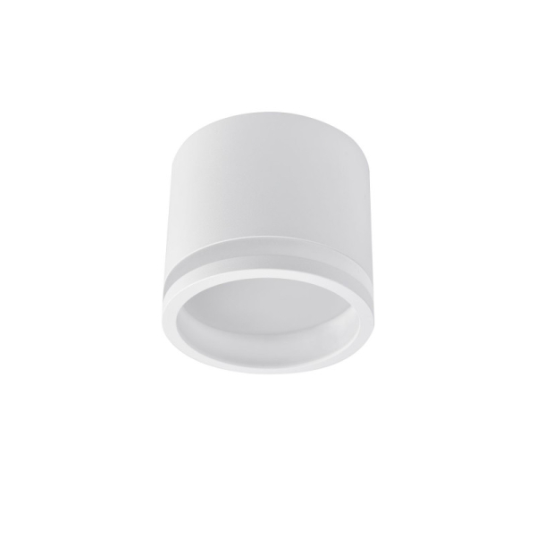 Накладной светильник Favourite 4213-1C