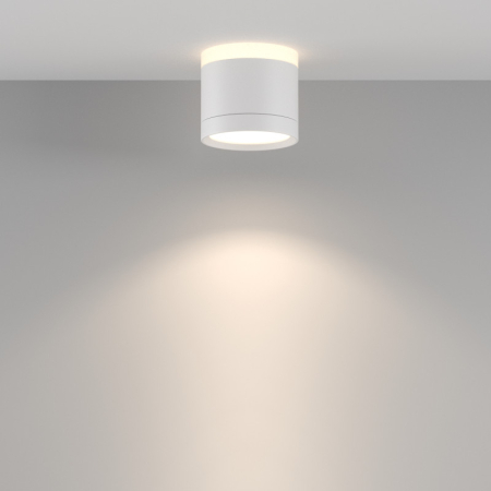 Накладной светильник Maytoni Technical C120CL-GX53-W