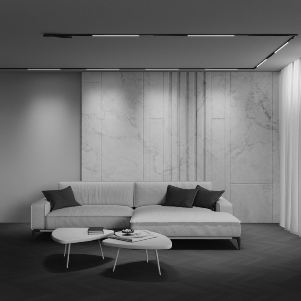 Светильник на шине Maytoni Technical TR240-4-12WTW-DD2-B