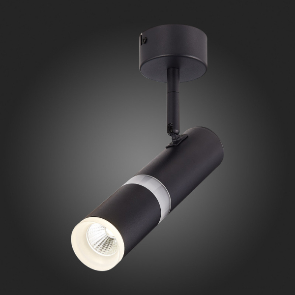 Спот ST-Luce ST106.442.08