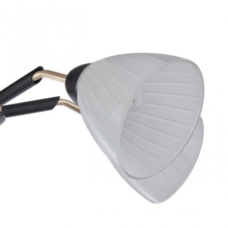 Накладная люстра Arte Milano 324108/5 BK+FG