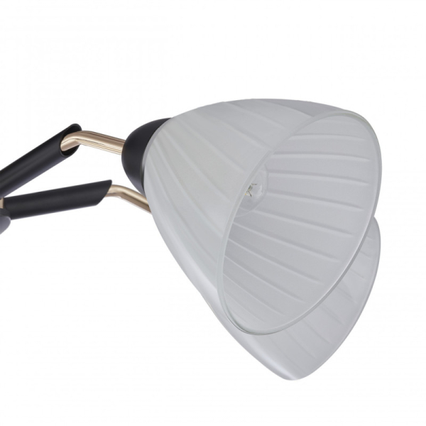 Накладная люстра Arte Milano 324108/5 BK+FG