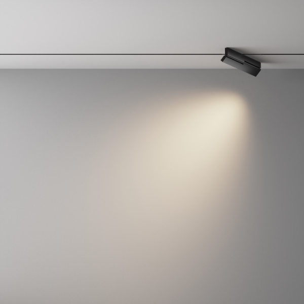 Светильник на шине Maytoni Technical TR242-2-12W4K-B