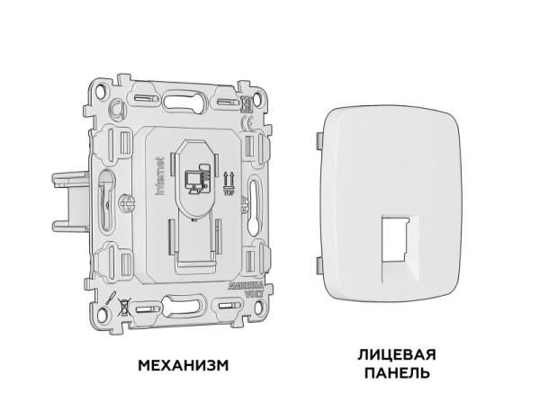 Розетка Ambrella Volt MO812010