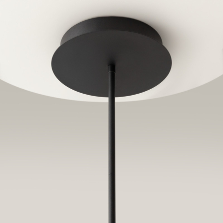 Люстра на штанге Maytoni MOD016PL-L52BK