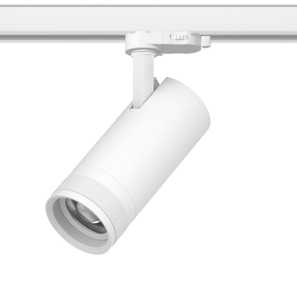 Светильник на шине Lightstar C4206QT