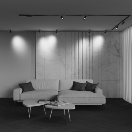 Светильник на шине Maytoni Technical TR243-4-12WTW-DD2-B