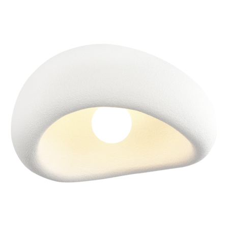 Накладной светильник ST-Luce SL1522.502.01