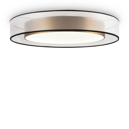 Накладной светильник Freya FR6005CL-L48G