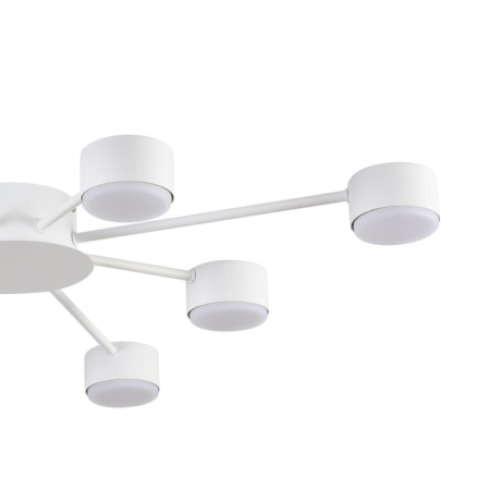 Накладная люстра LUMION 8343/8C