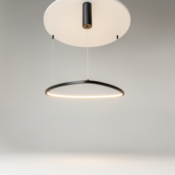 Подвесной светильник Maytoni MOD072PL-L28B3K