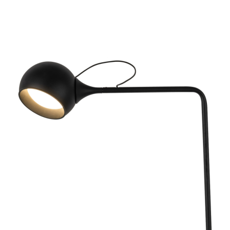 Торшер Freya FR5606FL-L9B