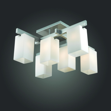 Накладная люстра ST-Luce SL541.102.06