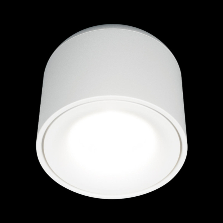 Накладной светильник LOFT IT 10219 White 4000K
