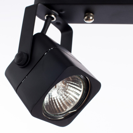 Спот ARTE Lamp A1314PL-2BK