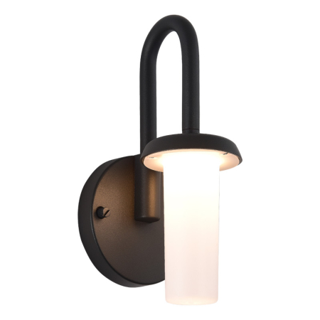 Светильник настенный ST-Luce SL9539.701.01