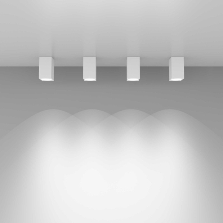 Накладной светильник Elektrostandard 1085 GU10 WH белый матовый