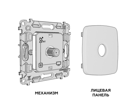 Розетка Ambrella Volt MO813050
