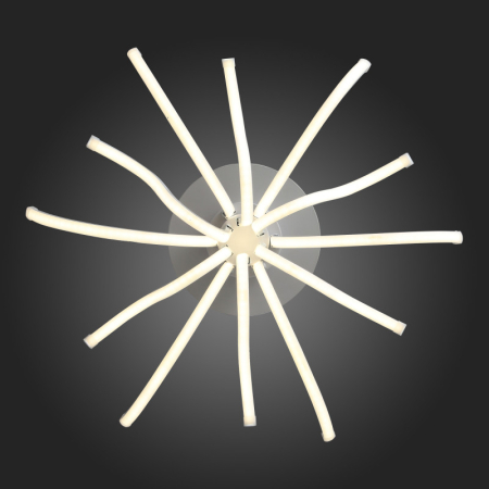 Накладная люстра ST-Luce SL826.502.12