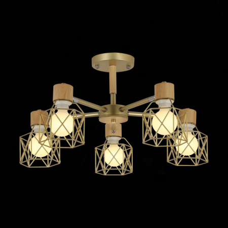 Люстра на штанге Evoluce SLE110402-05