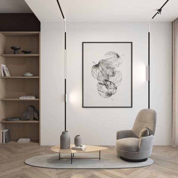 Светильник на шине Denkirs DK8003-BK