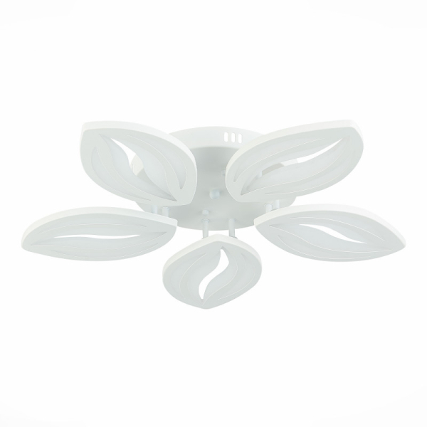 Накладная люстра EVOLED SLE501352-05