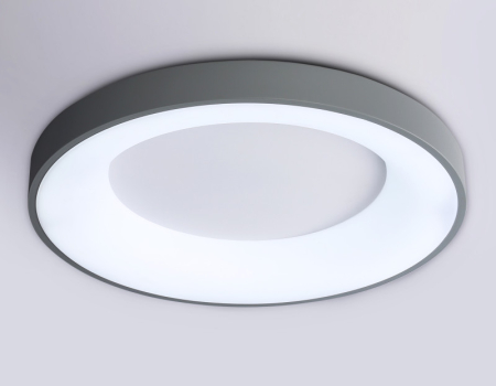 Накладной светильник Ambrella Light FZ1402