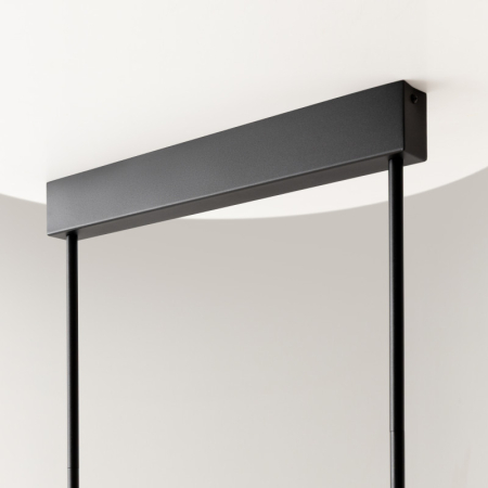 Люстра на штанге Maytoni MOD428PL-L27BK