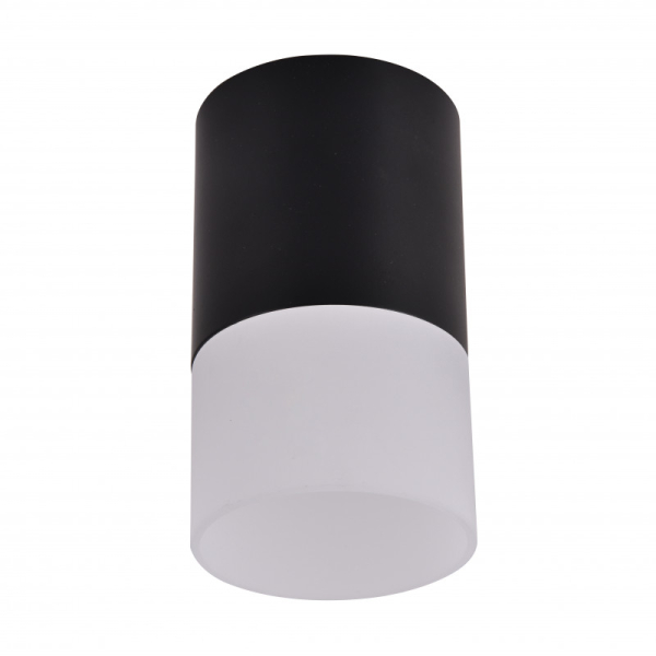 Накладной светильник Favourite 3070-1C