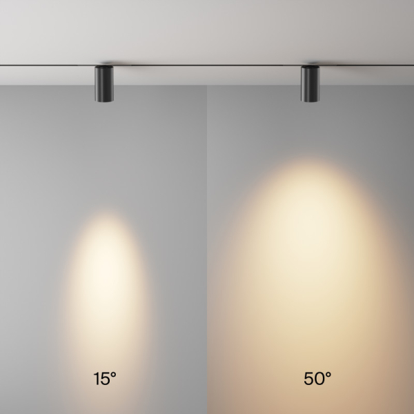 Светильник на шине Maytoni Technical TR243-12W3K-B