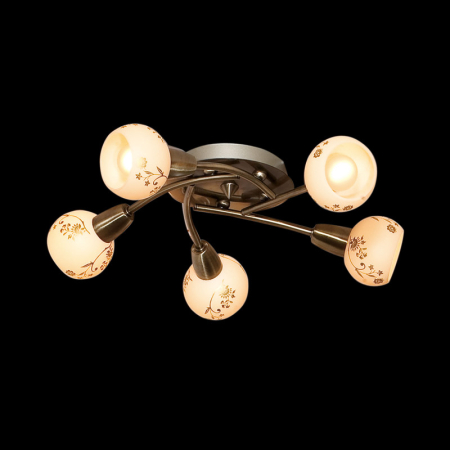 Накладная люстра Citilux CL520153