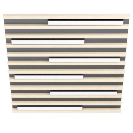 Накладной светильник EGLO 39898